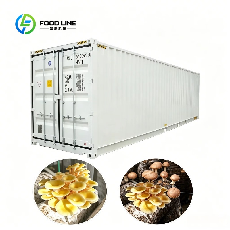 Urban Farming Hydroponic System - Hydroponische containerfarm met geautomatiseerd irrigatiesysteem voor