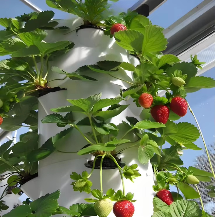 Modulair hydroponisch groeisys - Urban Farming Hydroponic System recensie en prijs
