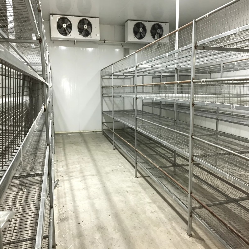 Hydroponische containerfarm me - Urban Farming Hydroponic System recensie en prijs